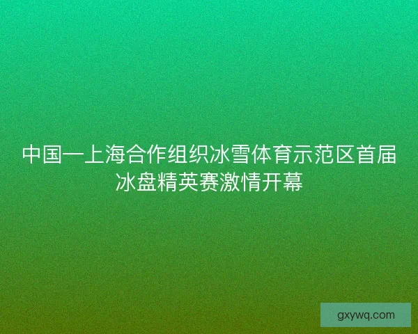 中国—上海合作组织冰雪体育示范区首届冰盘精英赛激情开幕