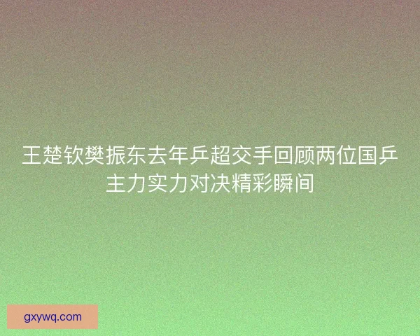 王楚钦樊振东去年乒超交手回顾两位国乒主力实力对决精彩瞬间